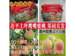 正宗广东河源市连平上坪鹰嘴蜜桃新鲜采摘水果图1