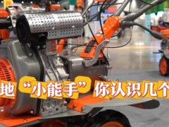 广西国际农博会：这些种地“小能手” 你认识几个？