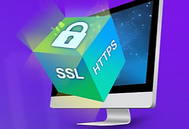sslTrus 域名型（DV）- 单域名