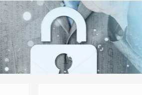 sslTrus 域名型（DV）- 通配符