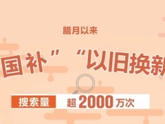 当蛇年新春遇上“两新”扩围 “年经济”呈现新趋势、新亮点