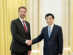 王沪宁会见波黑议会代表院副主席查瓦拉