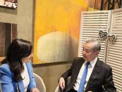 王毅会见加拿大外长阿南德